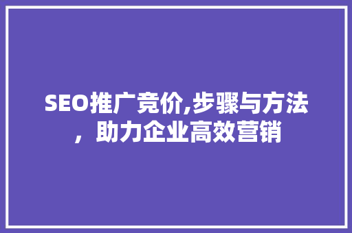 SEO推广竞价,步骤与方法，助力企业高效营销