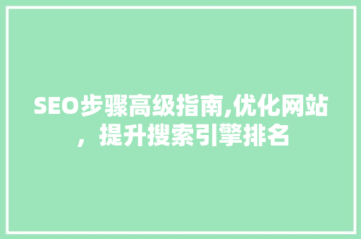 SEO步骤高级指南,优化网站，提升搜索引擎排名