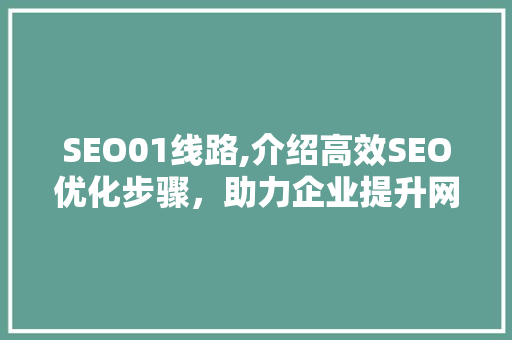 SEO01线路,介绍高效SEO优化步骤，助力企业提升网站排名