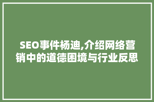 SEO事件杨迪,介绍网络营销中的道德困境与行业反思