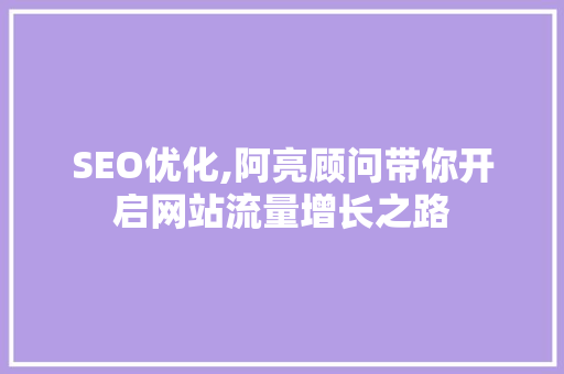 SEO优化,阿亮顾问带你开启网站流量增长之路