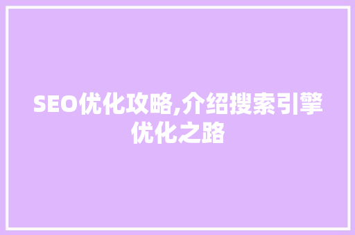 SEO优化攻略,介绍搜索引擎优化之路