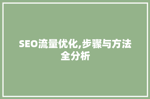 SEO流量优化,步骤与方法全分析