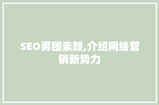 SEO男团素颜,介绍网络营销新势力