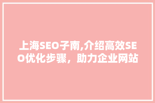 上海SEO子南,介绍高效SEO优化步骤，助力企业网站排名攀升