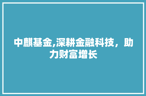 中麒基金,深耕金融科技，助力财富增长