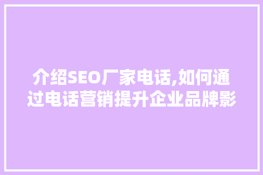 介绍SEO厂家电话,如何通过电话营销提升企业品牌影响力