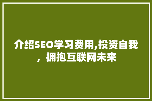 介绍SEO学习费用,投资自我，拥抱互联网未来