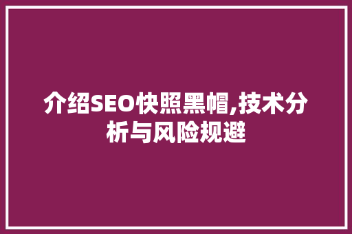 介绍SEO快照黑帽,技术分析与风险规避