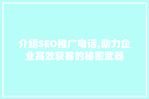 介绍SEO推广电话,助力企业高效获客的秘密武器