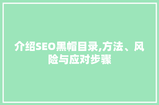 介绍SEO黑帽目录,方法、风险与应对步骤