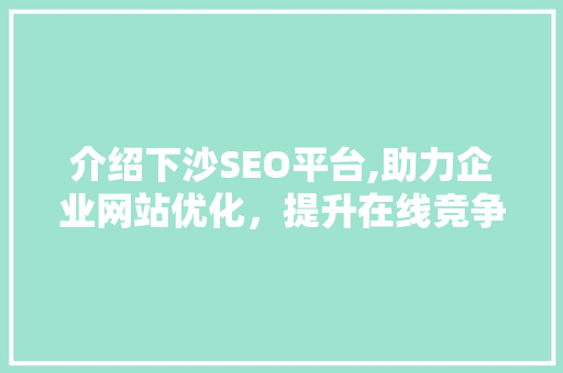 介绍下沙SEO平台,助力企业网站优化，提升在线竞争力