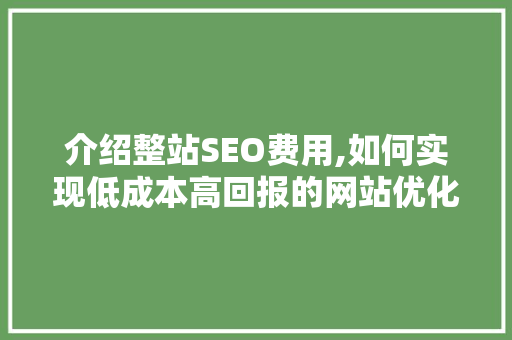 介绍整站SEO费用,如何实现低成本高回报的网站优化步骤