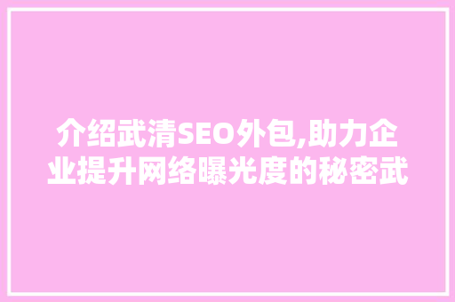 介绍武清SEO外包,助力企业提升网络曝光度的秘密武器