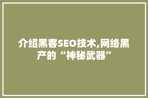 介绍黑客SEO技术,网络黑产的“神秘武器” 建站教程