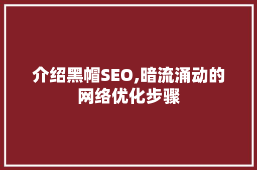 介绍黑帽SEO,暗流涌动的网络优化步骤
