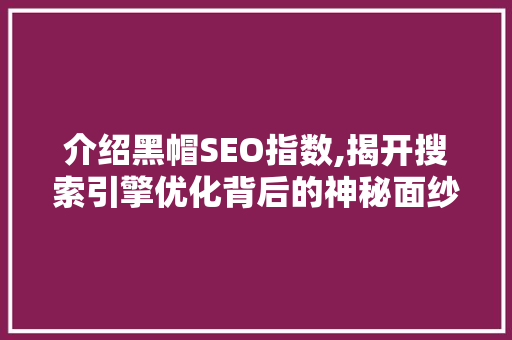 介绍黑帽SEO指数,揭开搜索引擎优化背后的神秘面纱