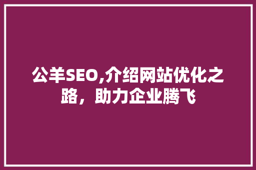 公羊SEO,介绍网站优化之路，助力企业腾飞