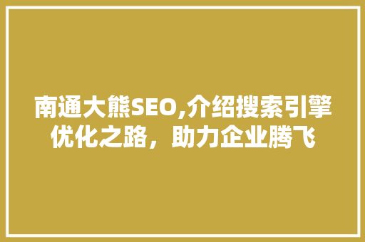 南通大熊SEO,介绍搜索引擎优化之路，助力企业腾飞