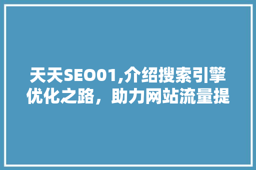 天天SEO01,介绍搜索引擎优化之路，助力网站流量提升