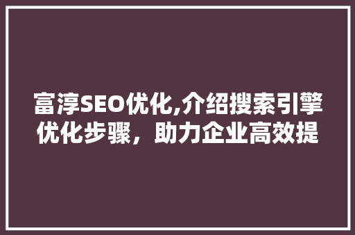 富淳SEO优化,介绍搜索引擎优化步骤，助力企业高效提升网站排名