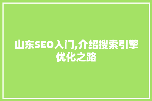 山东SEO入门,介绍搜索引擎优化之路