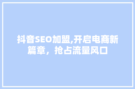 抖音SEO加盟,开启电商新篇章，抢占流量风口 WordPress教程
