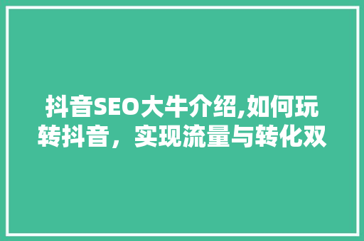 抖音SEO大牛介绍,如何玩转抖音，实现流量与转化双丰收