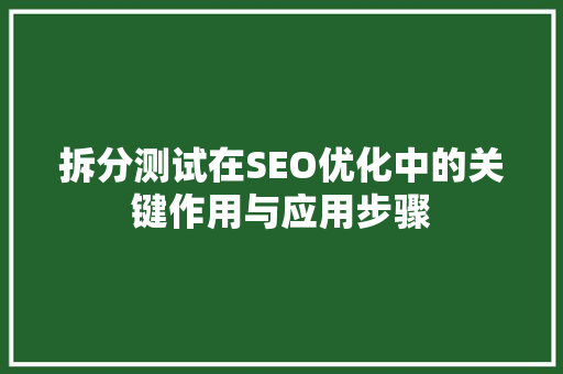 拆分测试在SEO优化中的关键作用与应用步骤