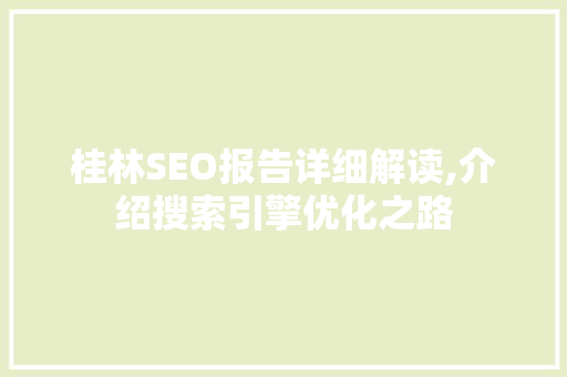 桂林SEO报告详细解读,介绍搜索引擎优化之路