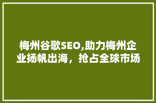 梅州谷歌SEO,助力梅州企业扬帆出海，抢占全球市场先机