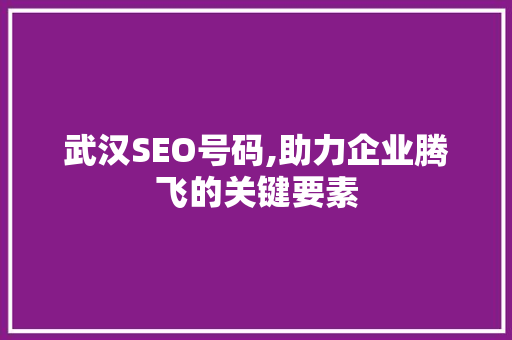 武汉SEO号码,助力企业腾飞的关键要素