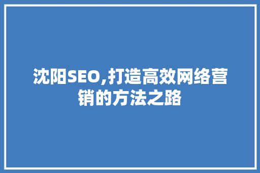 沈阳SEO,打造高效网络营销的方法之路