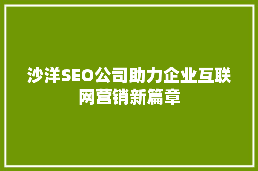 沙洋SEO公司助力企业互联网营销新篇章