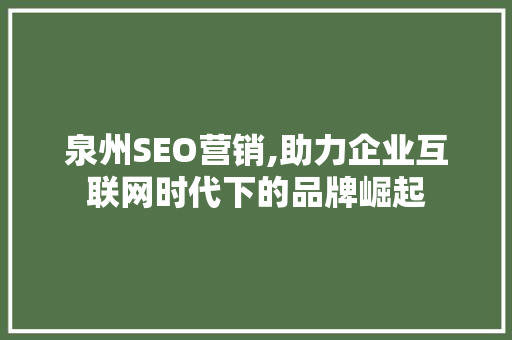 泉州SEO营销,助力企业互联网时代下的品牌崛起