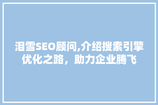 泪雪SEO顾问,介绍搜索引擎优化之路，助力企业腾飞