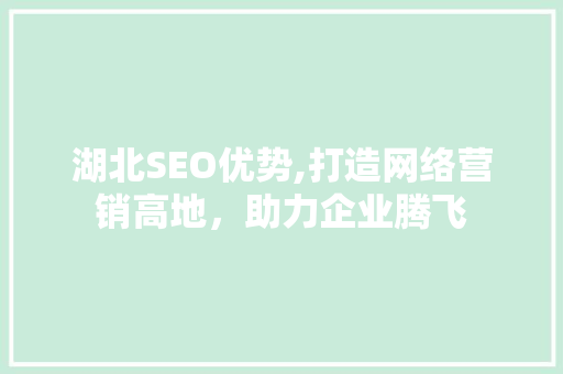 湖北SEO优势,打造网络营销高地，助力企业腾飞