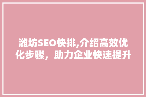 潍坊SEO快排,介绍高效优化步骤，助力企业快速提升网站排名
