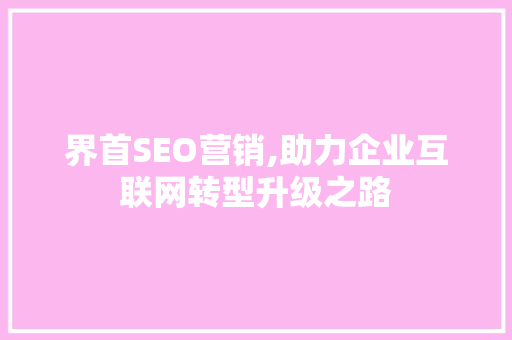 界首SEO营销,助力企业互联网转型升级之路