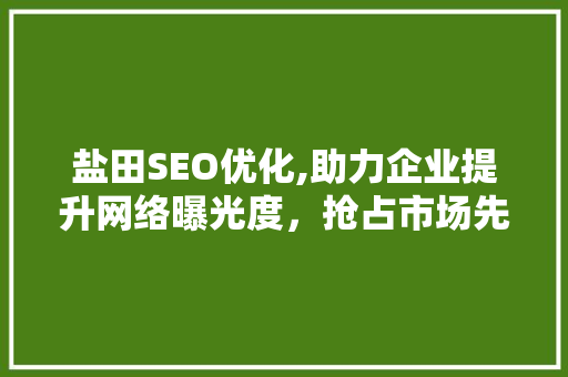 盐田SEO优化,助力企业提升网络曝光度，抢占市场先机