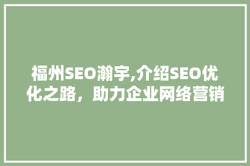 福州SEO瀚宇,介绍SEO优化之路，助力企业网络营销腾飞