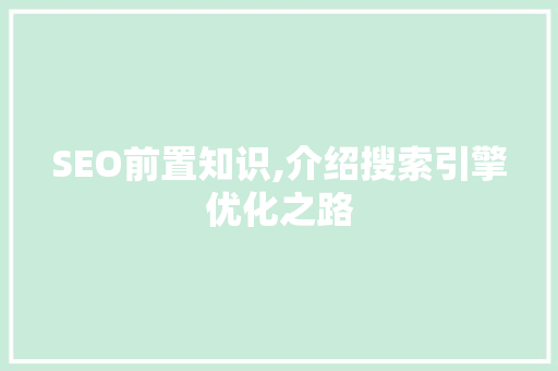 SEO前置知识,介绍搜索引擎优化之路
