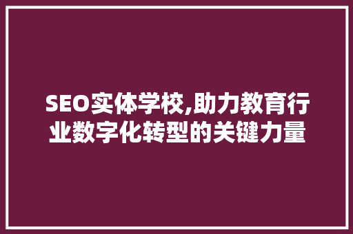 SEO实体学校,助力教育行业数字化转型的关键力量