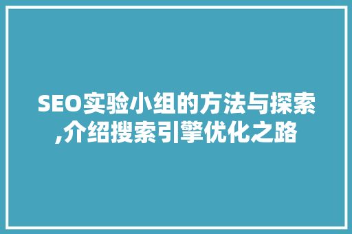 SEO实验小组的方法与探索,介绍搜索引擎优化之路