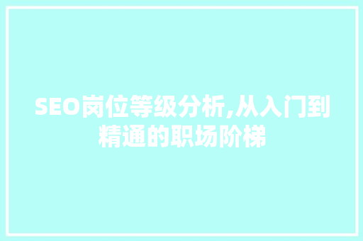 SEO岗位等级分析,从入门到精通的职场阶梯