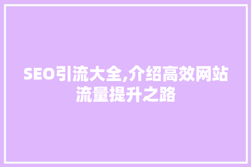 SEO引流大全,介绍高效网站流量提升之路