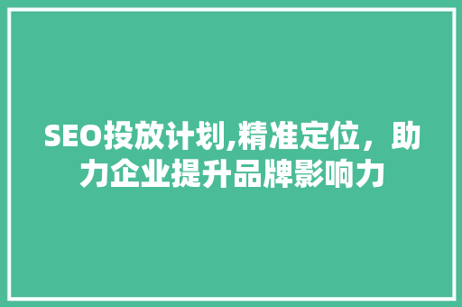 SEO投放计划,精准定位，助力企业提升品牌影响力