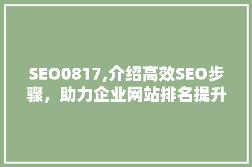 SEO0817,介绍高效SEO步骤，助力企业网站排名提升