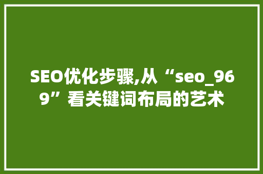 SEO优化步骤,从“seo_969”看关键词布局的艺术