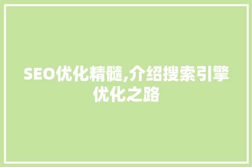 SEO优化精髓,介绍搜索引擎优化之路